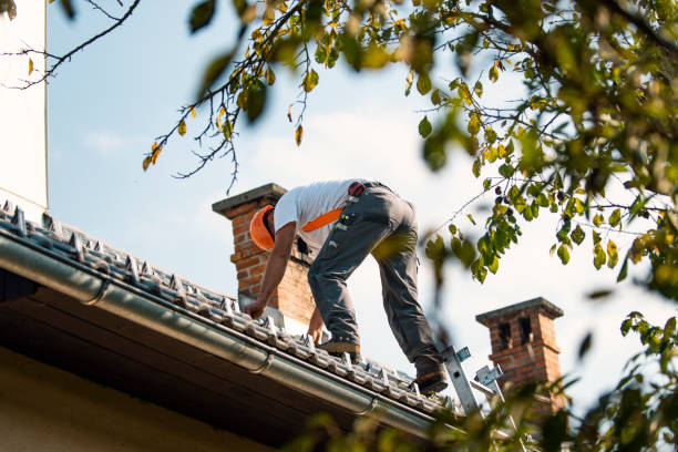 Best Shingle Roofing Installation  in Waupun, WI